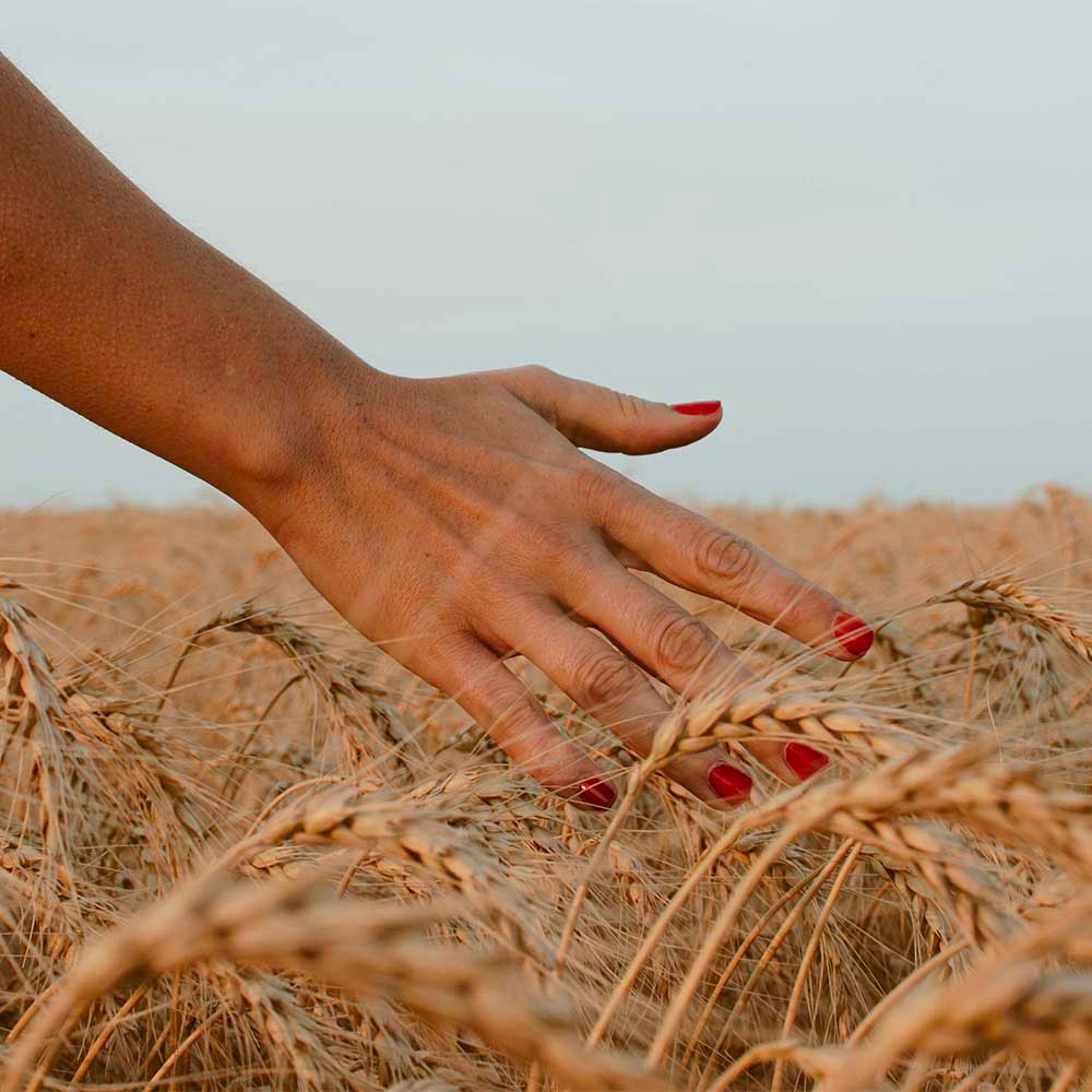 Servizi-Nail-Centro-Benessere-Beauty-Sense-Latina